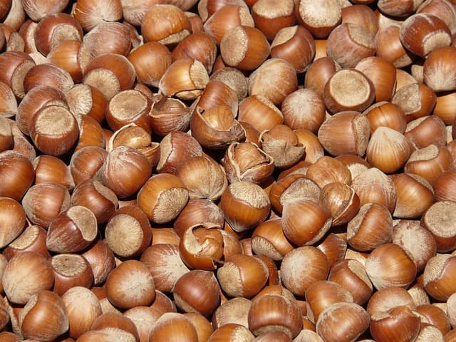 Delicious Vegan Snacks for Kids Buying Guide