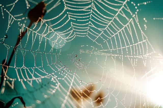 Usabilidad en Diseño Web: Errores Comunes a Evitar