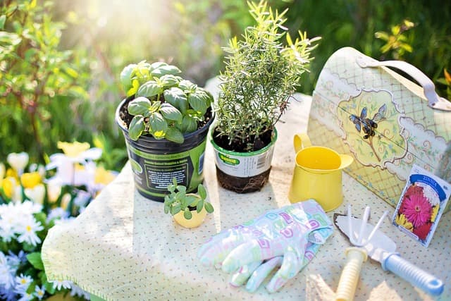 Guida all'acquisto dei migliori attrezzi per il giardinaggio