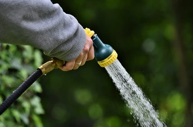 Top Gardening Tools for Beginners